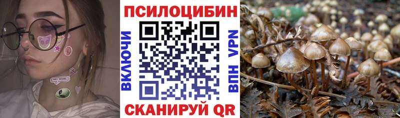 как найти наркотики Гатчина darknet формула Галлюциногенные грибы мухоморы